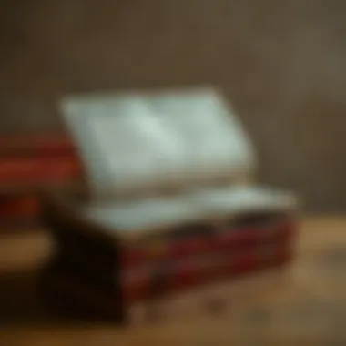 Magnificent Анатомия женственности в творчестве Лилии Гариповой Magnificent Анатомия женственности в творчестве Лилии Гариповой