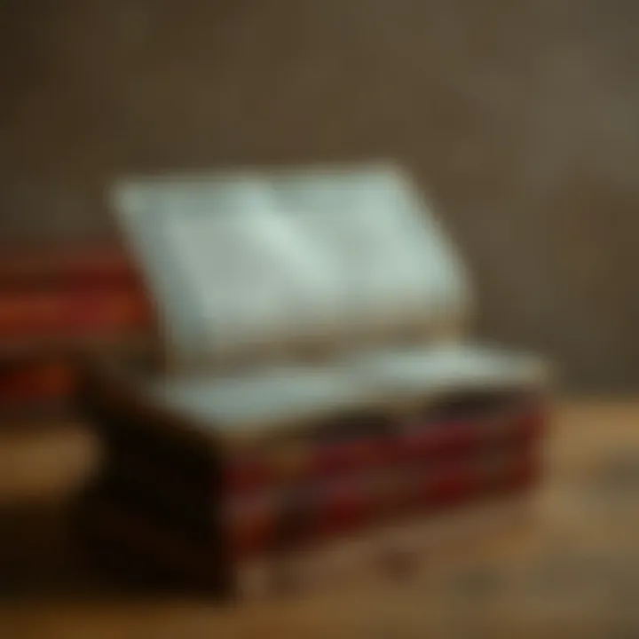 Magnificent Анатомия женственности в творчестве Лилии Гариповой Magnificent Анатомия женственности в творчестве Лилии Гариповой