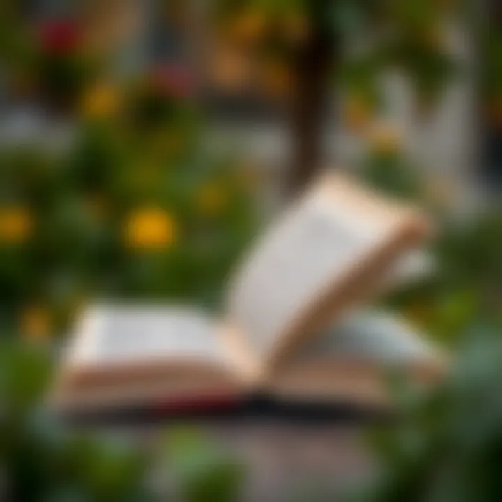 Magnificent Романтическое фэнтези: Топ книг для любителей жанра Magnificent Романтическое фэнтези: Топ книг для любителей жанра