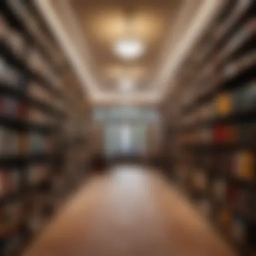 Interior view of Aisha bookstore showcasing literature collection