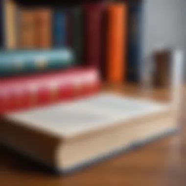 Literary Devices Used in 'Deception Point' An illustration representing literary devices in 'Deception Point'.