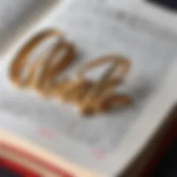 An elegant script of Russian words symbolizing beauty