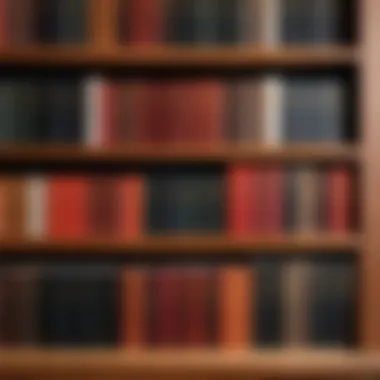 A collection of martial arts books arranged on a shelf