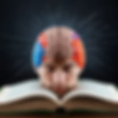 Activating the Mind Through Reading Visual representation of the brain activating through reading