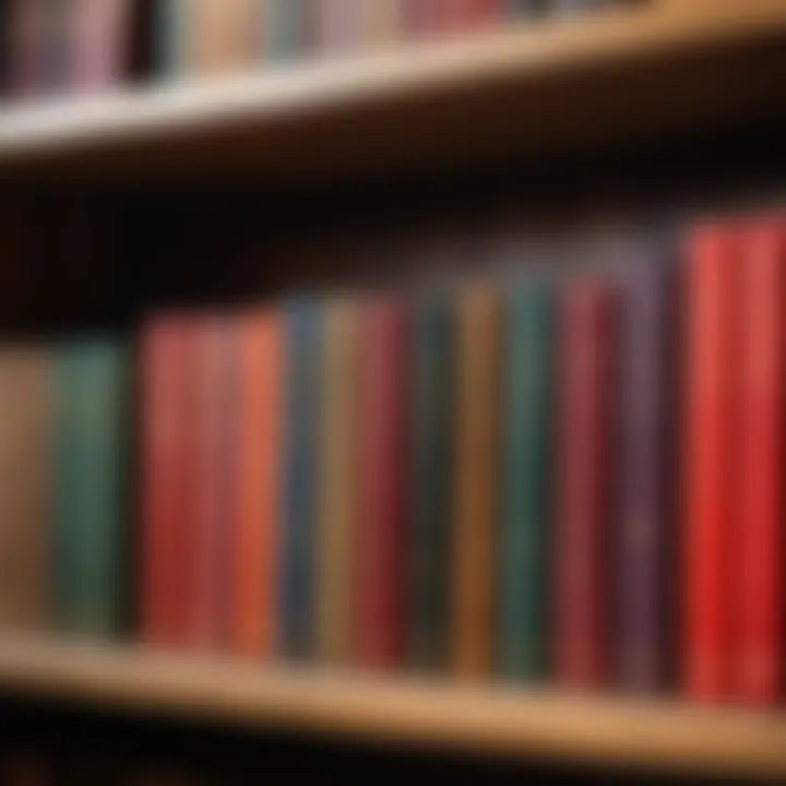 A collection of classic Brontë novels on a wooden shelf