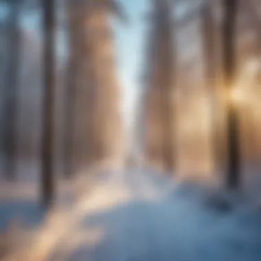 The Enchantment of Narnia An enchanting landscape of Narnia with mythical creatures