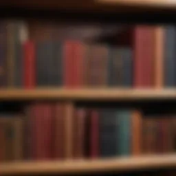 A collection of classic literature books on a wooden shelf
