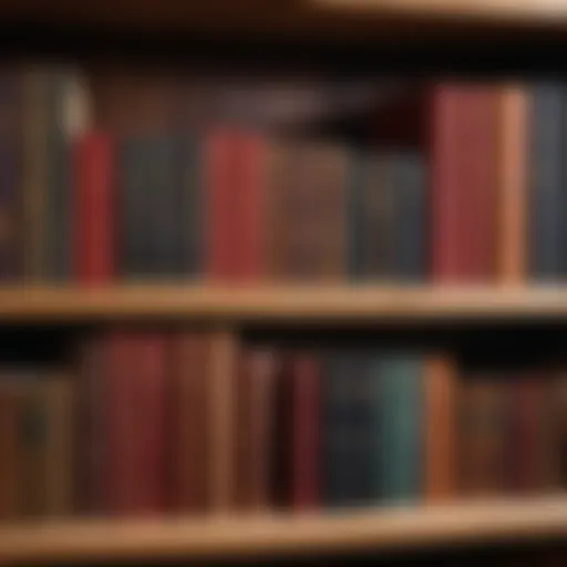 A collection of classic literature books on a wooden shelf