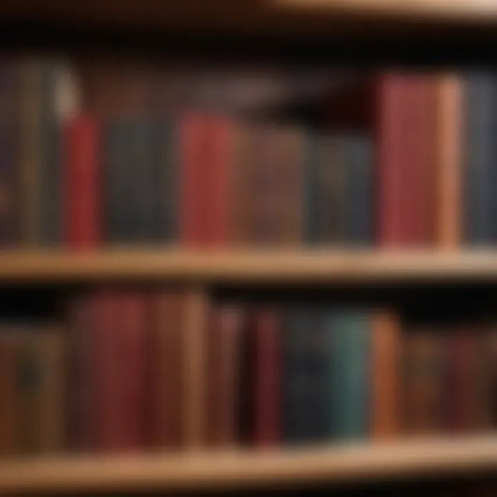 A collection of classic literature books on a wooden shelf