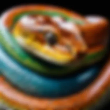 Python Code Example for Game Development A visually engaging Python code snippet showcasing game development elements