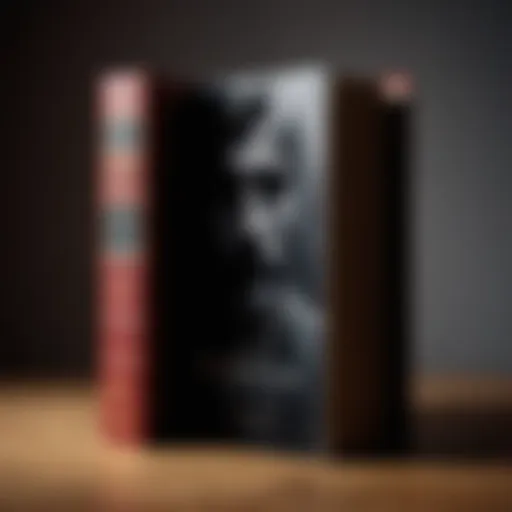 A mysterious book cover featuring a shadowy figure