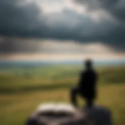 A solitary figure gazing out over a vast landscape, symbolizing emotional distance.