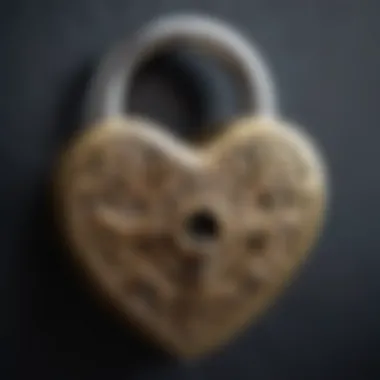 An intricate heart shaped lock symbolizing the themes of love and secrecy.