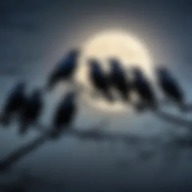 A mystical illustration of six crows perched on a moonlit branch