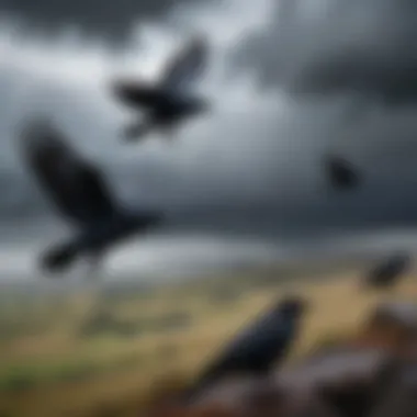 An artistic depiction of six crows flying over a stormy landscape