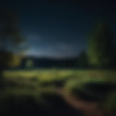 Serene Nighttime Landscape A serene nighttime landscape symbolizing the themes of introspection and solitude in Лавринович’s work.