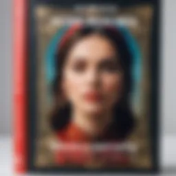 Cover art of the novel with striking design