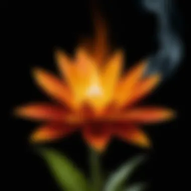 Symbolic depiction of a flower rising from flames