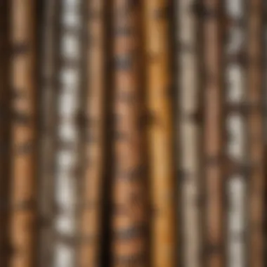 Birch Bark Manuscripts: The Transition to Written Literature Birch bark manuscripts representing early literary forms