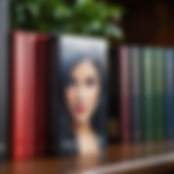 Close-up of a book cover from a popular series by Holly Black.
