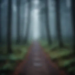 Dark and eerie forest path symbolizing horror literature