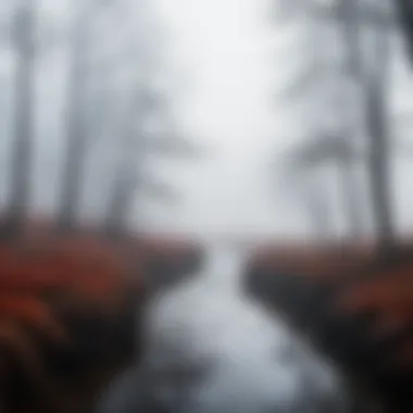 A mysterious, fog-covered landscape evoking a sense of dread