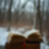 Иллюстрации Экзюпери к "Маленькому принцу": визуальная интерпретация литературного шедевра Introduction