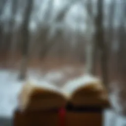 Иллюстрации Экзюпери к "Маленькому принцу": визуальная интерпретация литературного шедевра Introduction