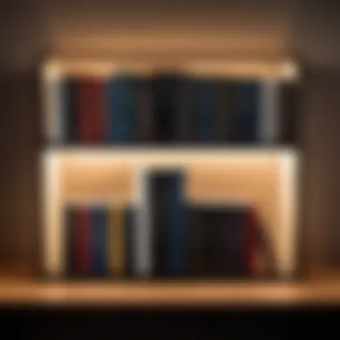 An illuminated bookshelf featuring modern authors