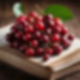 Symbolic representation of cherry and its significance in literature