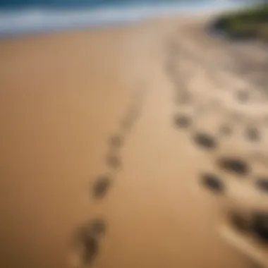 A serene beach with footprints leading into the distance