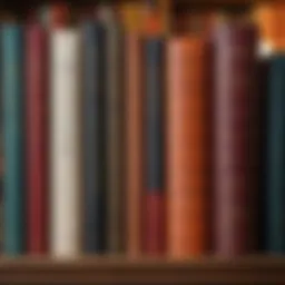 A diverse collection of contemporary youth literature