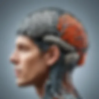 Neurobiological foundations of memory