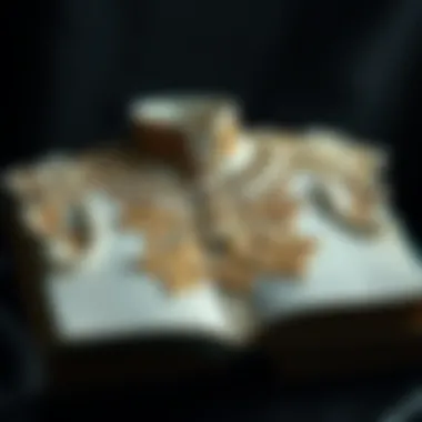 Платье королевы: анализ художественного произведения Дженнифер Робсон Summary