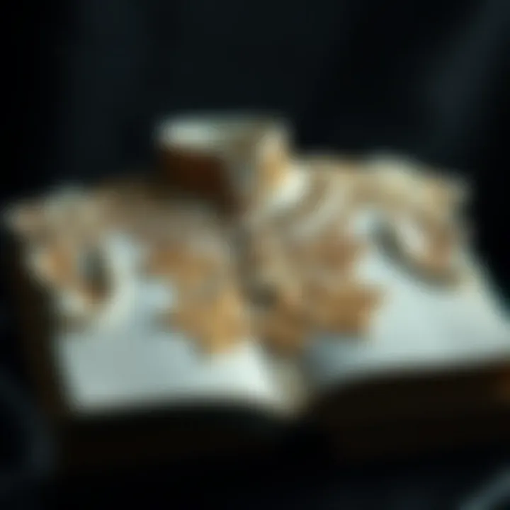 Платье королевы: анализ художественного произведения Дженнифер Робсон Summary