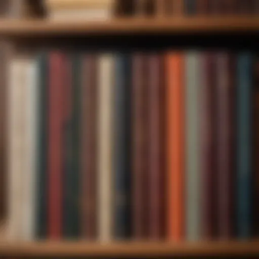 A collection of classic novels stacked on a wooden shelf.