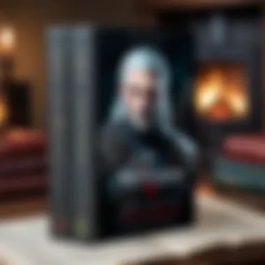 Cover Art of the First Witcher Book Cover art of the first Witcher book