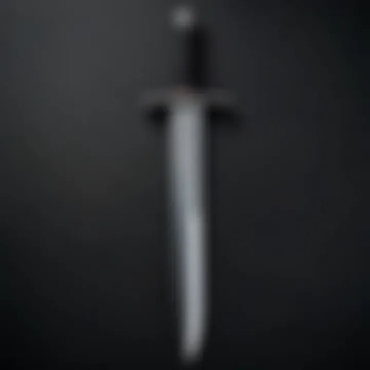 The iconic sword of Geralt of Rivia