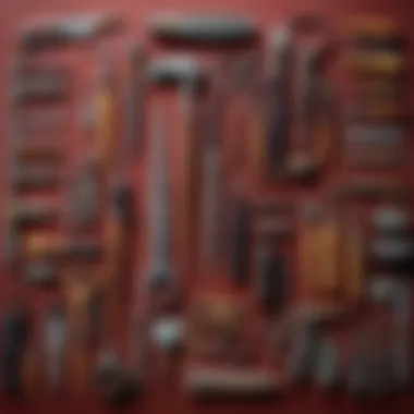 An exotic clinic showcasing unique veterinary tools from different cultures