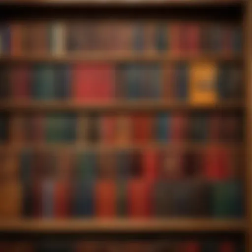 A collection of Harry Potter textbooks displayed on a wooden shelf